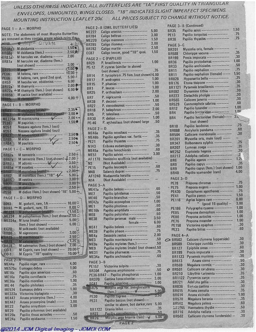The Butterfly Company (NY) 18 page catalog 1976
